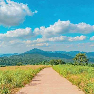 半岛全站app下载