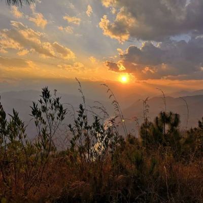 ayx在线登录入口下载手机版